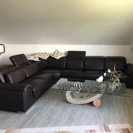 Ferienwohnung-Ameisenhardt Шлайден Екстериор снимка